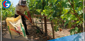 Ica: presentan propuestas para cerrar brechas en salud, educación, empleo y seguridad 