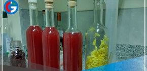 Especialistas del ITP elaboran prototipo de bebida de fruta con alto valor nutricional 