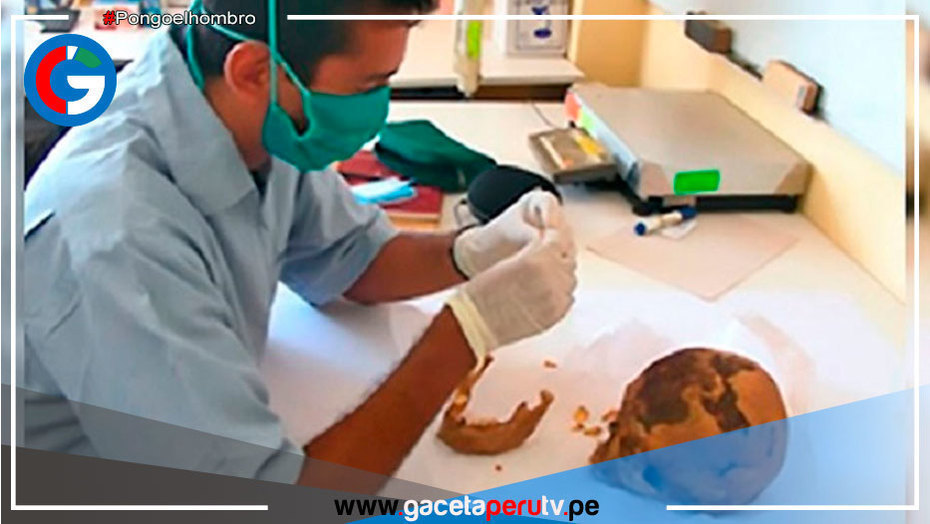 Arquéologos analizan alimentación de antiguos peruanos hallados cerca de Caral
