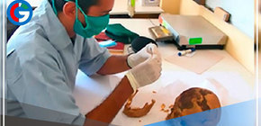 Arquéologos analizan alimentación de antiguos peruanos hallados cerca de Caral 