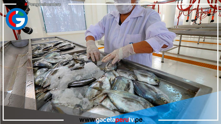 Produce: Transfieren S/ 1.7 millones para fortalecer red de sanidad pesquera y acuícola