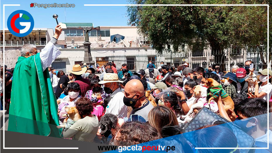 En templo de Arequipa realizaron bendición de mascotas