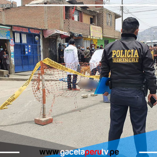 San Juan de Lurigancho: sujeto asesina con un arma blanca a dos hermanos