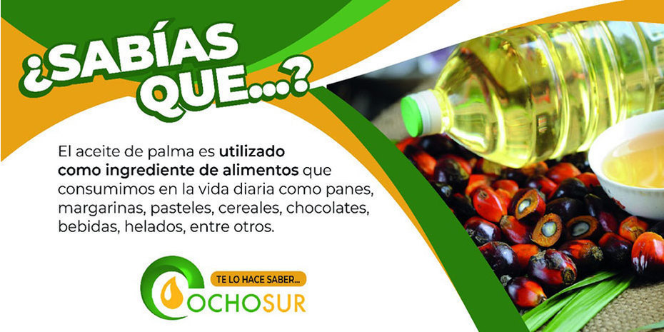 ¿Sabías que el Aceite de Palma es utilizado como ingredientes de alimentos que consumimos en la vida diaria?