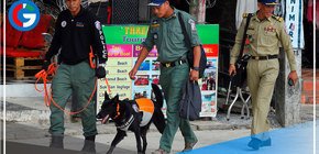 Especialistas en remoción de minas entrenan perros para detectar el covid-19 en Camboya 