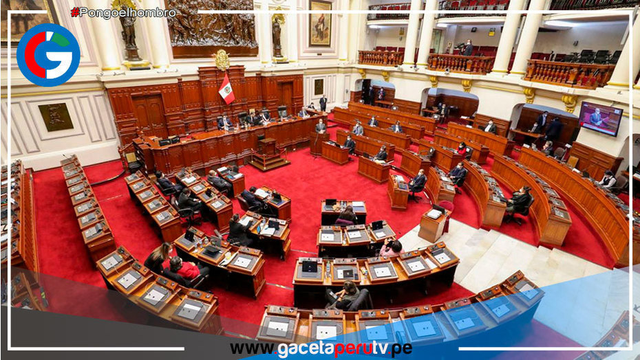 Comisión aprueba insistencia de autógrafa de ley sobre cuestión de confianza