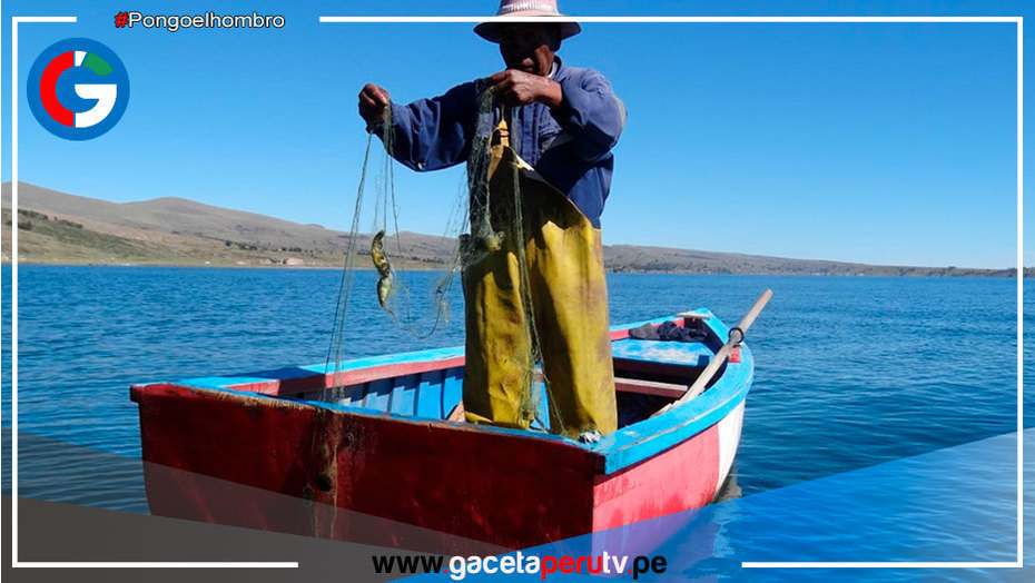 Puno: advierten agotamiento de recursos pesqueros nativos del lago Titicaca