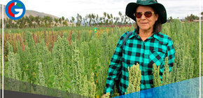 Premian a científica peruana por desarrollar variedades de plantas usando energía nuclear 