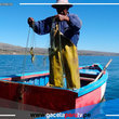  Puno: advierten agotamiento de recursos pesqueros nativos del lago Titicaca 