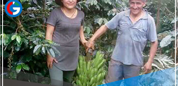 Talento de Ayacucho ayuda a agricultores a duplicar producción del grano 