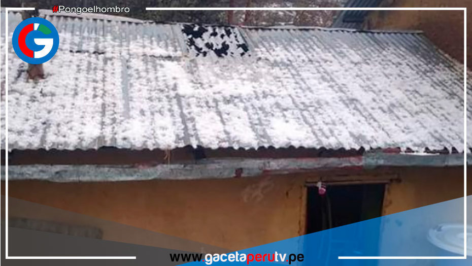 174 viviendas y 8 hectáreas de cultivo dañados por granizada en Pasco