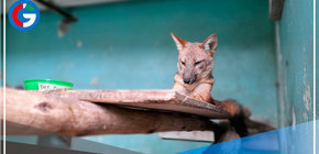 Sigue los problemas para Run Run