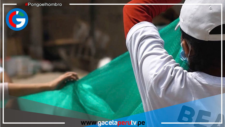 San Juan de Lurigancho: Estudiantes diseñan 'atrapanieblas' para recolectar agua