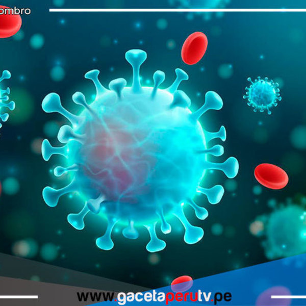 Detectan una nueva variante del coronavirus con múltiples mutaciones en Sudáfrica