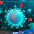 Detectan una nueva variante del coronavirus con múltiples mutaciones en Sudáfrica