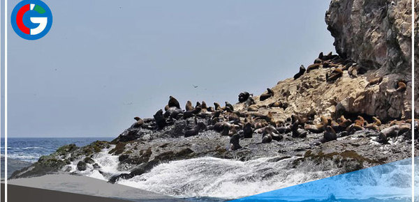 Islas Guañape recibe sello Safe Travels y ya es un destino turístico seguro 