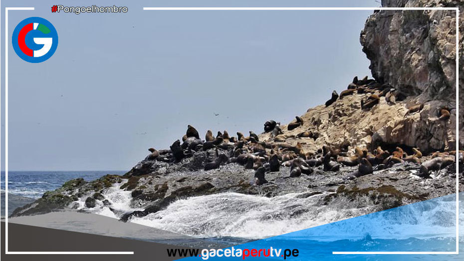 Islas Guañape recibe sello Safe Travels y ya es un destino turístico seguro