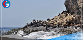 Islas Guañape recibe sello Safe Travels y ya es un destino turístico seguro 