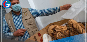 Encuentran momia de unos 1,200 años en Lurigancho Chosica 