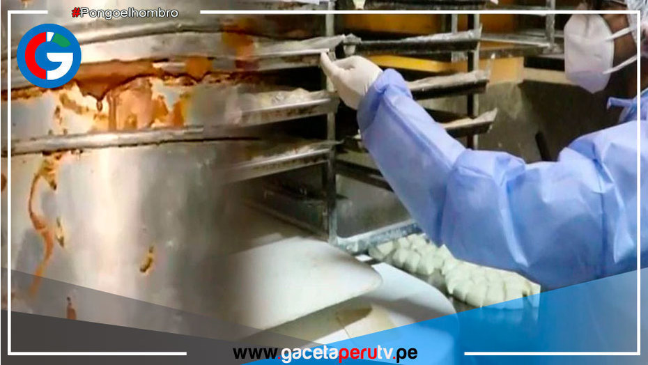 Clausuran panadería por elaborar panetones en condiciones insalubres en San Miguel