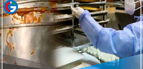 Clausuran panadería por elaborar panetones en condiciones insalubres en San Miguel