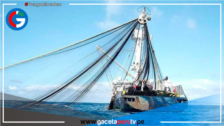 Verifican que atuneras realizan sus labores de pesca dentro del ordenamiento legal