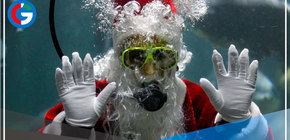 México: Un Santa acuático ofrece regalos entre pirañas en un zoológico 