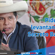 Pedro Castillo solicita levantar su secreto bancario, tributario y de comunicaciones 