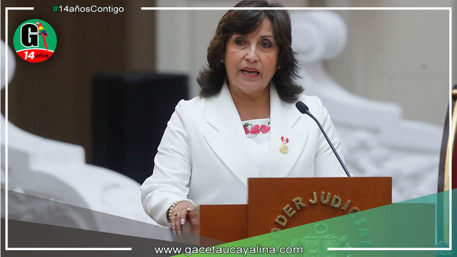 Vice presidenta de la República: "No me veo asumiendo como presidenta de la República"