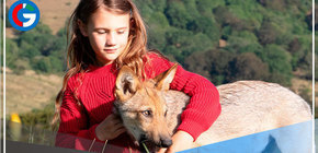 Película que nadie esperaba y que es un éxito en Netflix