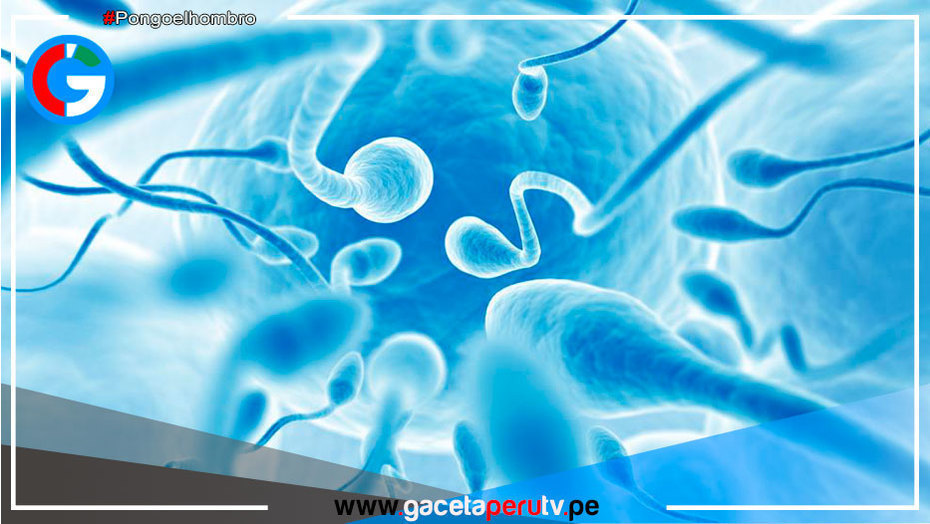 ¿Con qué frecuencia deben eyacular los hombres para prevenir el cáncer de próstata?