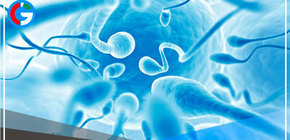 ¿Con qué frecuencia deben eyacular los hombres para prevenir el cáncer de próstata?