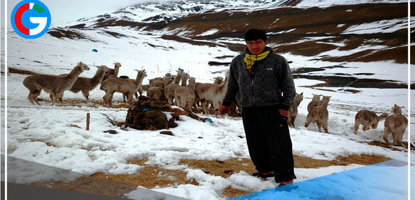 Indeci recomienda preparación ante nieve, granizo y lluvias en la sierra centro y sur