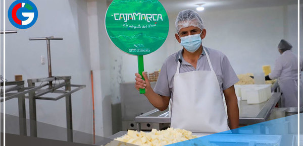 Producción lechera logró superar los 361 millones de litros anuales en Cajamarca