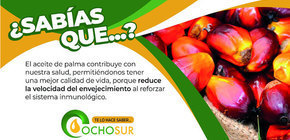 ¿Sabías que el Aceite de Palma contribuye con nuestra Salud?