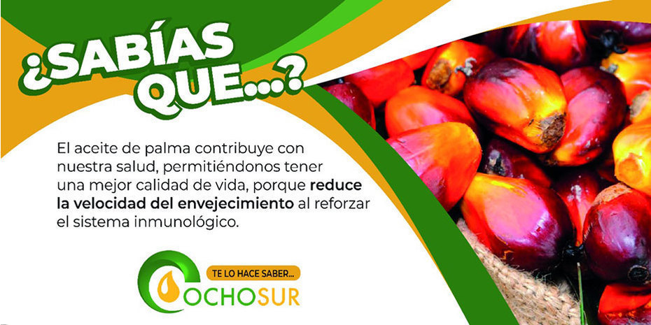 ¿Sabías que el Aceite de Palma contribuye con nuestra Salud?