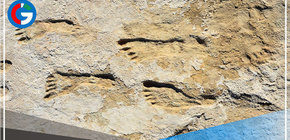 ¿Cuándo llegó el hombre a América? Huellas en Nuevo México reabren debate científico 