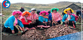Lanzamiento de segunda reforma agraria será este 3 de octubre 