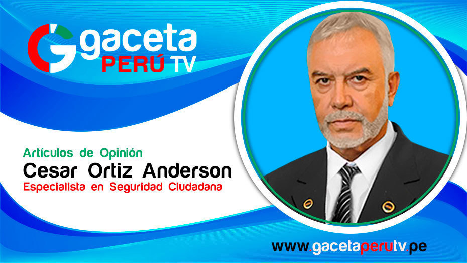 La inestabilidad política favorece el accionar delictivo