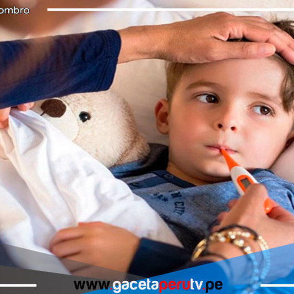 Influenza: cinco datos que debes conocer para prevenir el virus 