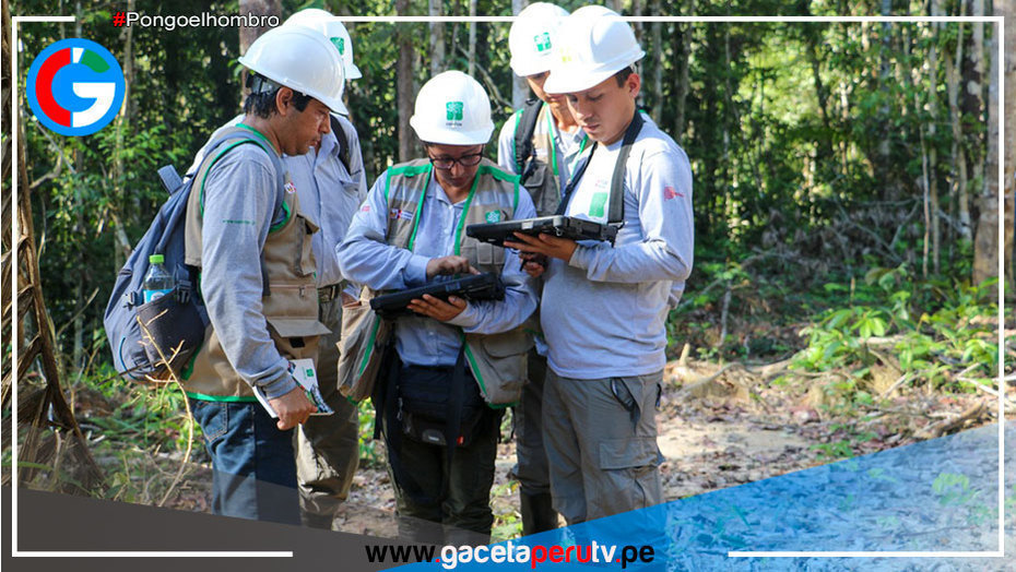 OSINFOR presenta las mejoras realizadas a su plataforma SIGO sfc
