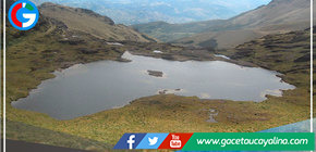  Piura: exportadores de banano apuestan por la conservación de las nacientes de agua 