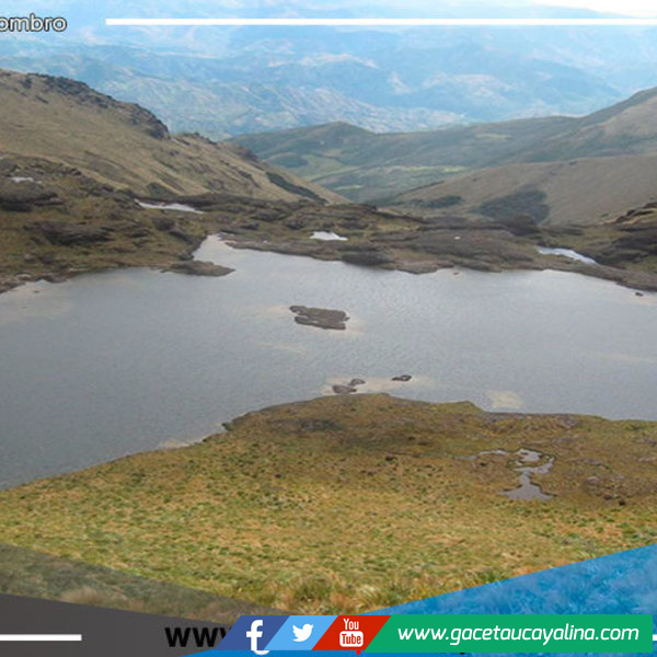  Piura: exportadores de banano apuestan por la conservación de las nacientes de agua 