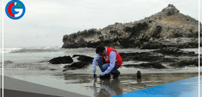Dieciocho mil metros cuadrados de playa contaminados y el efecto del derrame en La Pampilla