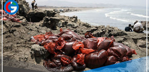 Declaran en emergencia ambiental zona marina costera 