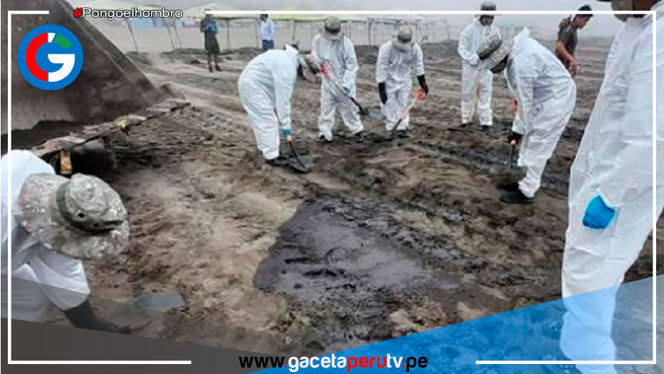 Fuerzas Armadas apoyan en limpieza de playas contaminadas