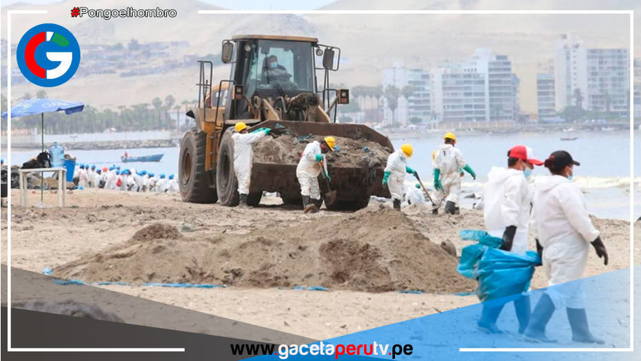 Especialistas internacionales se suman a rescate de fauna marina