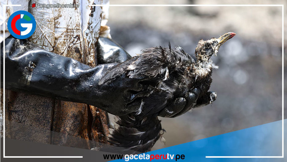Región Lima denunciará a empresa Repsol por desastre ecológico