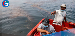 Evalúan presunto nuevo derrame de petróleo cerca a la refinería La Pampilla 