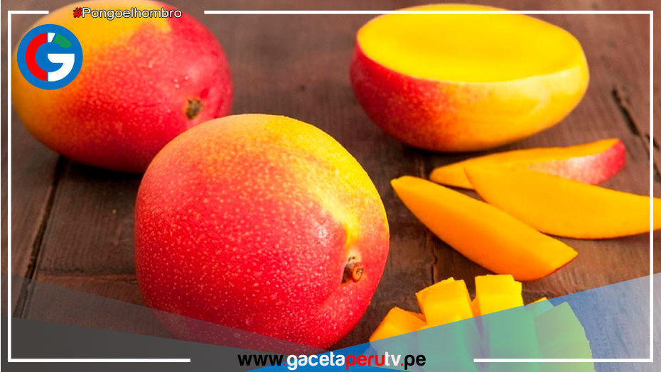 Consume mango, la deliciosa y nutritiva súper fruta del verano